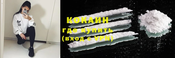 индика Нязепетровск