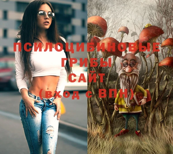 мяу мяу мука Алексин