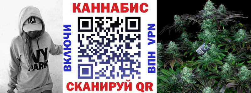 Конопля Bruce Banner Отрадный